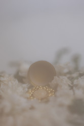 Similar image 21972900