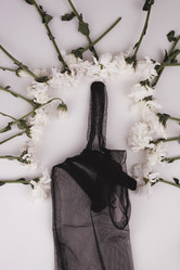 Similar image 21972902