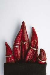 Similar image 21972903