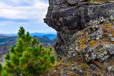 Similar image 21973750