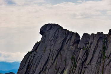 Similar image 21973907