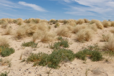 Similar image 21971129