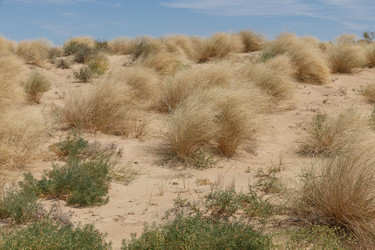 Similar image 21971130