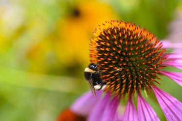 Similar image 21973446