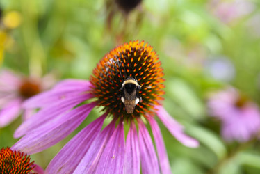 Similar image 21973447