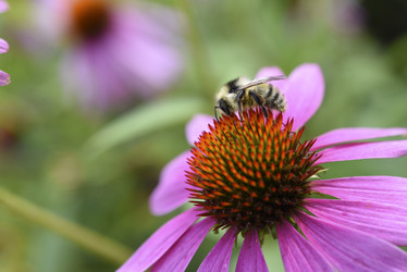 Similar image 21973449