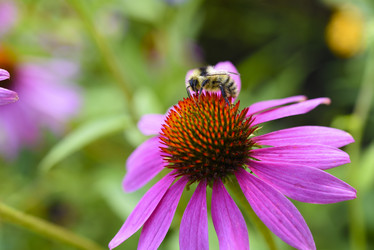 Similar image 21973450