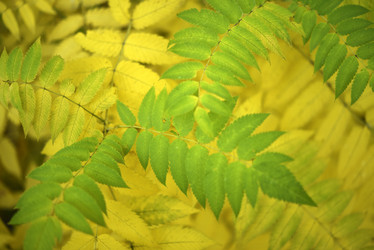 Similar image 21973451