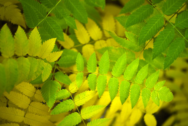 Similar image 21973452