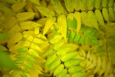 Similar image 21973453