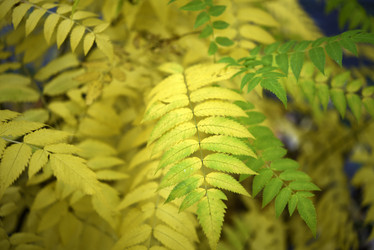 Similar image 21973454