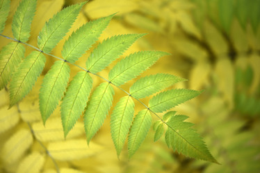 Similar image 21973455