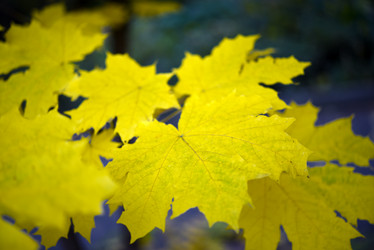 Similar image 21973456