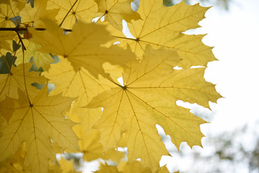 Similar image 21973457