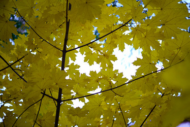 Similar image 21973458