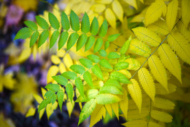 Similar image 21973459