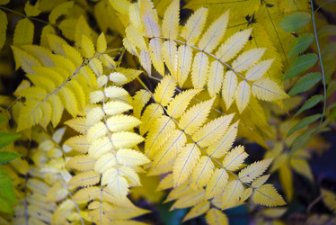 Similar image 21973460