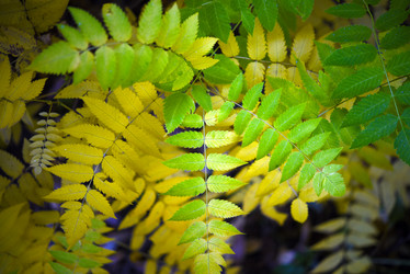 Similar image 21973461