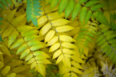 Similar image 21973462