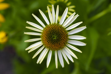 Similar image 21973464