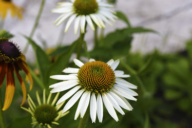 Similar image 21973466