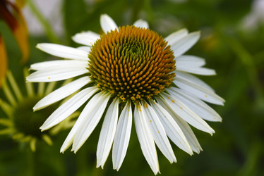 Similar image 21973467