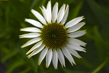 Similar image 21973468