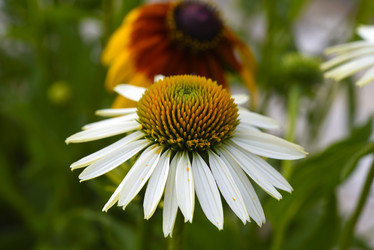 Similar image 21973469