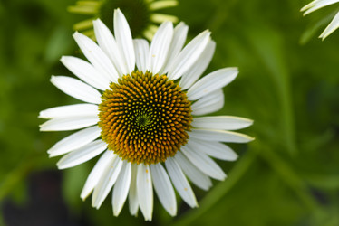 Similar image 21973470