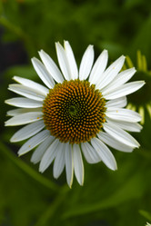 Similar image 21973471