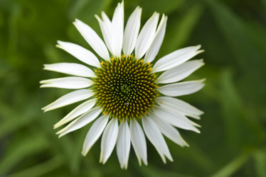 Similar image 21973473