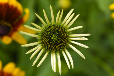 Similar image 21973474