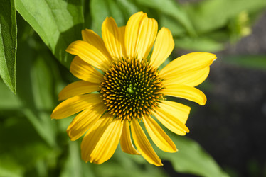 Similar image 21973475