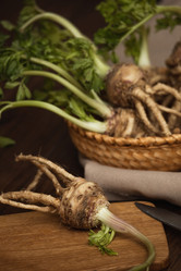 Similar image 21973251