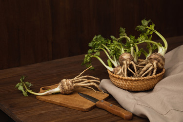 Similar image 21973255