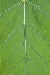 Similar image 21975263