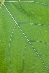 Similar image 21975264