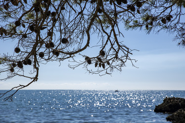 Similar image 21975265