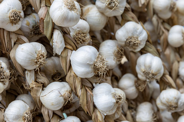 Similar image 21975279