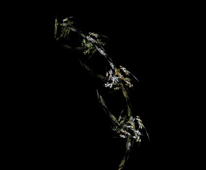 Similar image 21976690