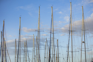 Similar image 21975298