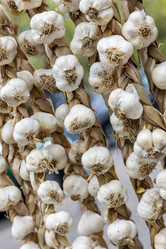 Similar image 21975310