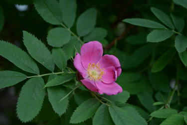 Similar image 21975054