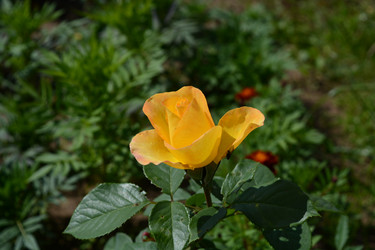 Similar image 21975055