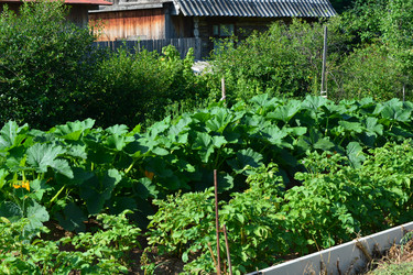 Similar image 21975056