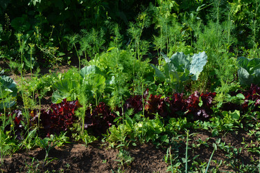 Similar image 21975057