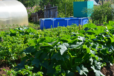 Similar image 21975058