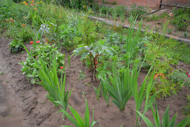 Similar image 21975059