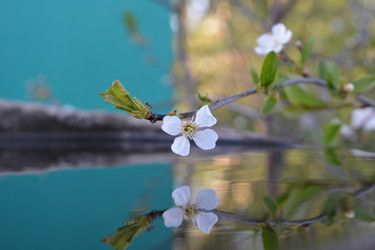 Similar image 21975060