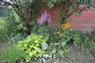 Similar image 21975061